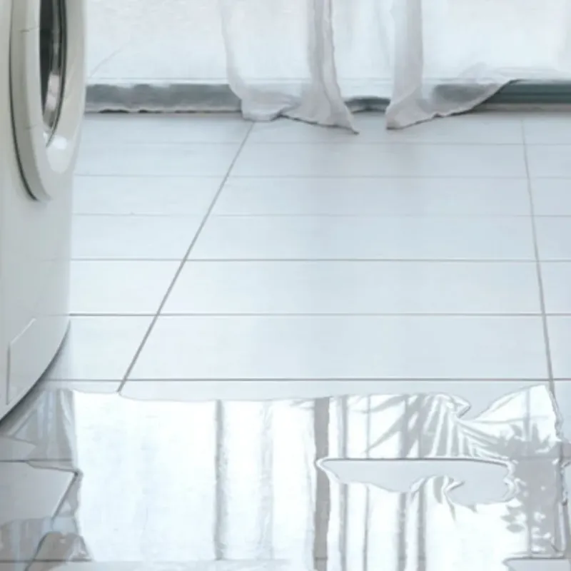 Appliance Leak Cleanup in Wacousta, MI