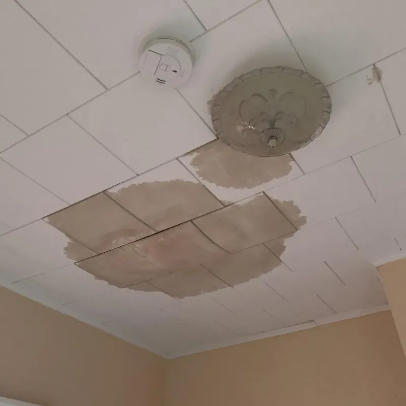 Ceiling Water Damage Repair in Wacousta, MI