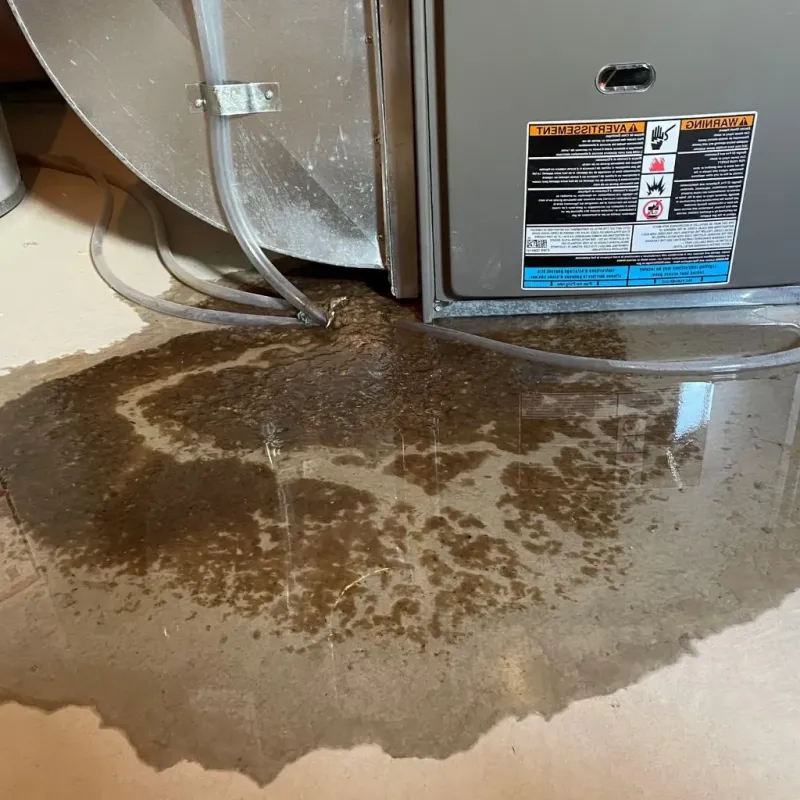 Pipe Burst and Leak Restoration in Wacousta, MI