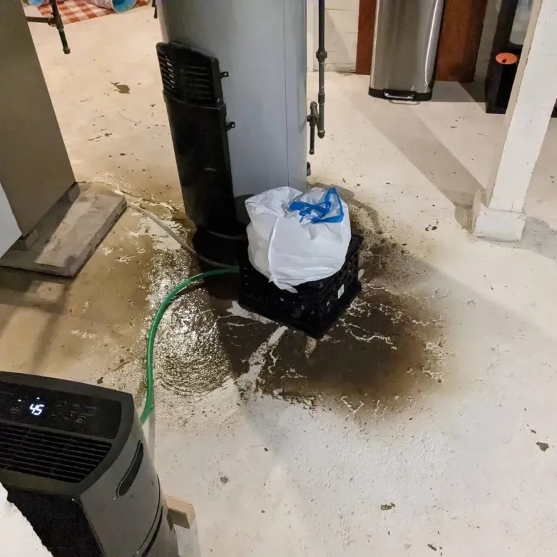Sewage Backup Cleanup Service in Wacousta, MI